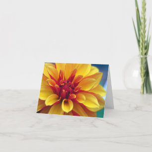 Orange Dahlia Greeting Card Karte