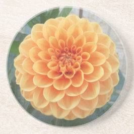 Orange Dahlia Sandstone Untersetzer