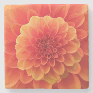 Orange Dahlia Steinuntersetzer