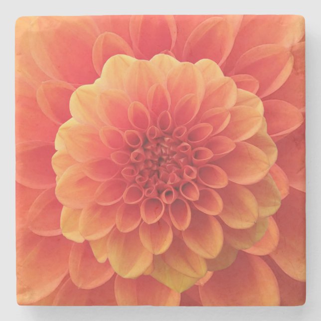 Orange Dahlia Steinuntersetzer (Vorderseite)