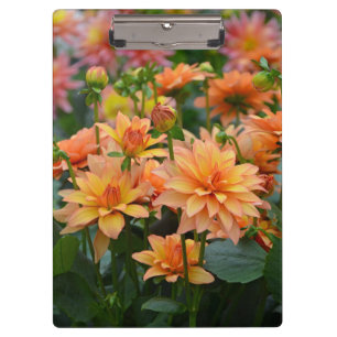 Orange Dahlie-Blumen-Druckklemmbrett Klemmbrett