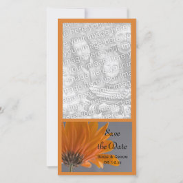 Orange Daisy auf der grauen Hochzeit Speichern Sie Save The Date