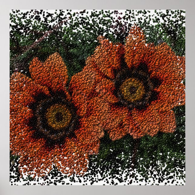 Orange Daisy Balls Poster (Vorne)
