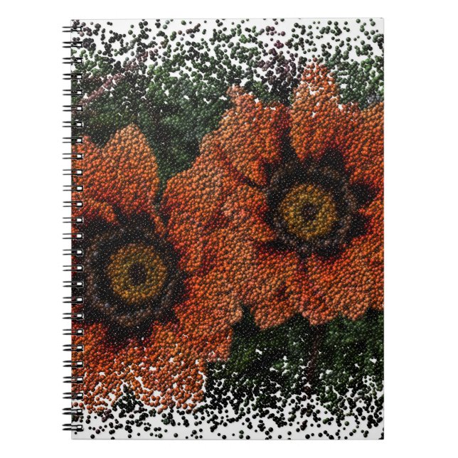 Orange Daisy Balls Spiral Notebook Notizblock (Vorderseite)