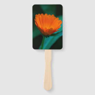 Orange daisy Blume Fächer
