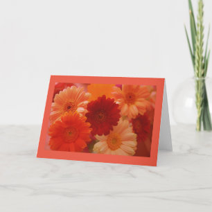 Orange Daisy Blume Foto Gruß oder Mitteilungskarte