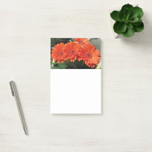 Orange Daisy Blume Foto Post-it Notes Klebezettel