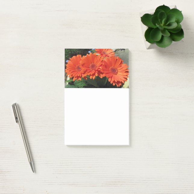 Orange Daisy Blume Foto Post-it Notes Klebezettel (Büro)