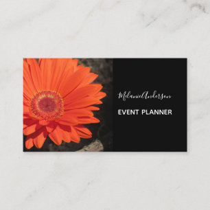 Orange Daisy Blume Foto Visitenkarte