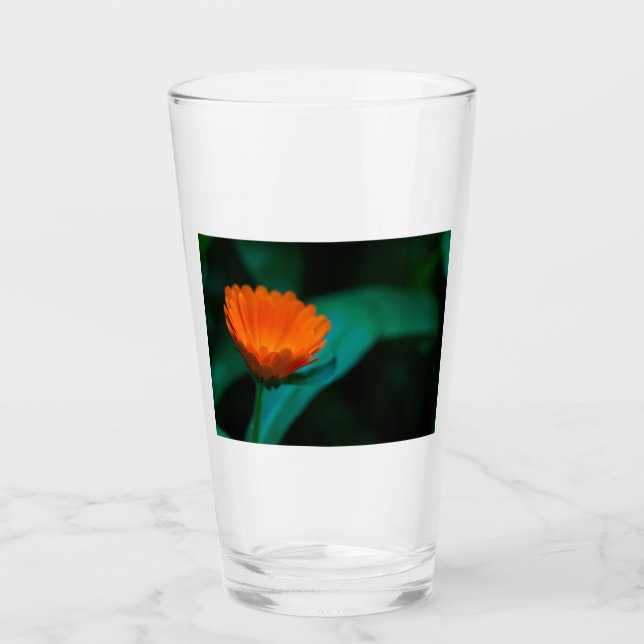 Orange daisy Blume Glas (Vorderseite)