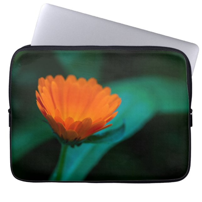Orange daisy Blume Laptopschutzhülle (Vorderseite)