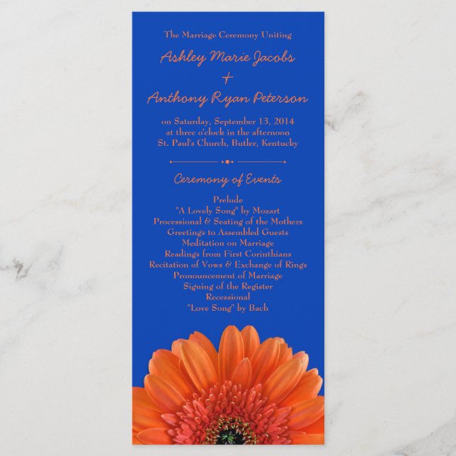 Orange Daisy Blume Royal Blue Wedding Program Programm (Vorderseite)