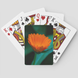 Orange daisy Blume Spielkarten