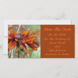 Orange Daisy Blume Wedding Save the Date