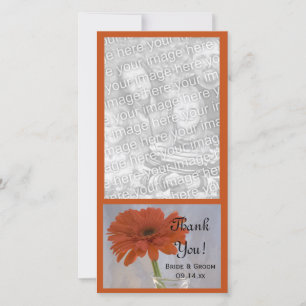 Orange Daisy dans Vase Mariage Merci Carte photo