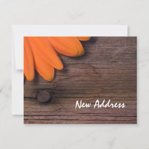 Orange Daisy et Rustic Barn Wood Nouvelle carte d'