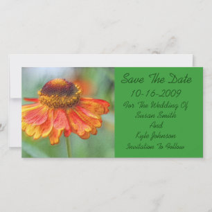 Orange Daisy floral Wedding speichern das Datum Save The Date