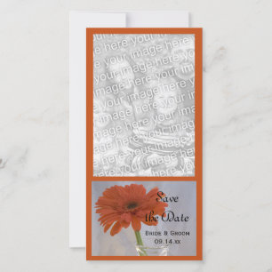 Orange Daisy in Vase Wedding Save the Date