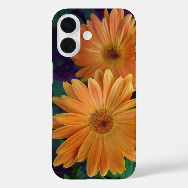Orange Daisy iPhone 16 Hülle (Rückseite)