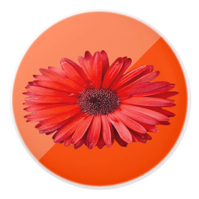Orange Daisy Keramik Pull Keramikknauf (Vorderseite)