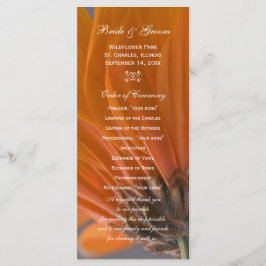 Orange Daisy sur le programme de mariage gris