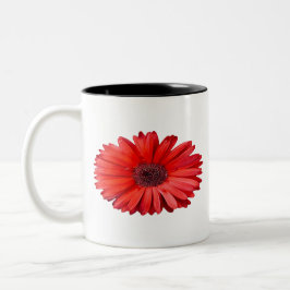 Orange Daisy Tasse