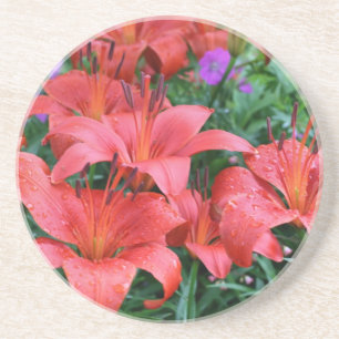 Orange Day Lilies Floral Untersetzer