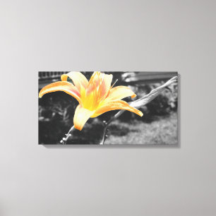 Orange Day Lily Picture Leinwanddruck