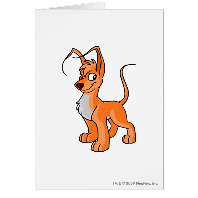 Orange de Gelert (Devant)