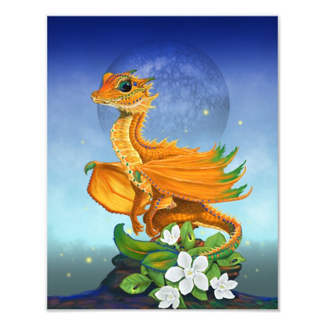 Orange Dragon 11x14 Print Fotodruck (Vorne)
