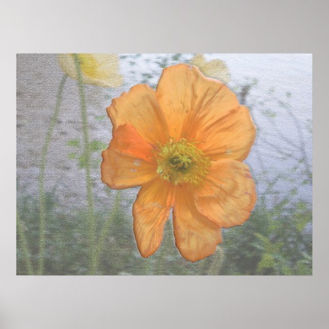 Orange Essence Poster (Vorne)