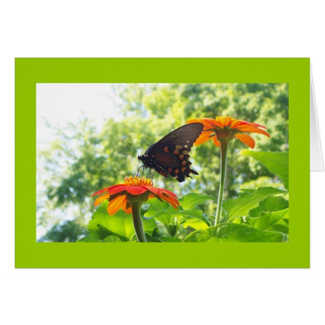 Orange est ma couleur heureuse (Devant Horizontal)