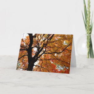 Orange Fall-Baum-Gruß-Karte (freier Raum nach Karte