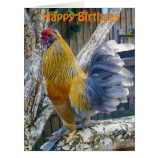Orange Fluffy Proud Rooster, Jumbo Birthday Card