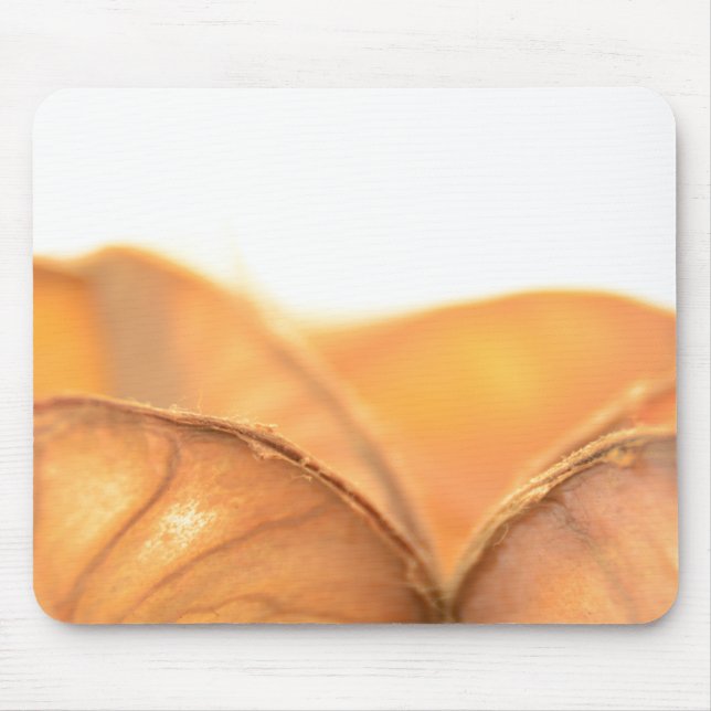 Orange Frucht Mousepad (Vorne)