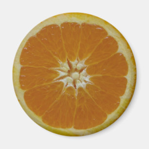 Orange Frucht-Scheibe-Magnet Magnet