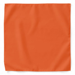 Orange Fruit Halstuch
