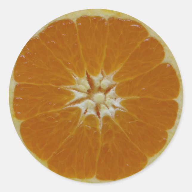 Orange Fruit Slice Runder Aufkleber (Vorderseite)