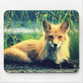 Orange Fuchs Mousepad
