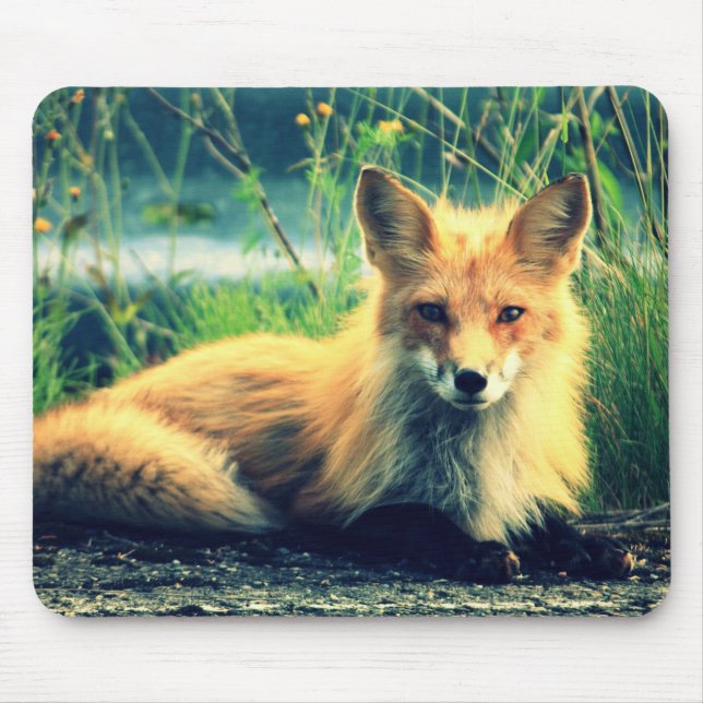 Orange Fuchs Mousepad (Vorne)
