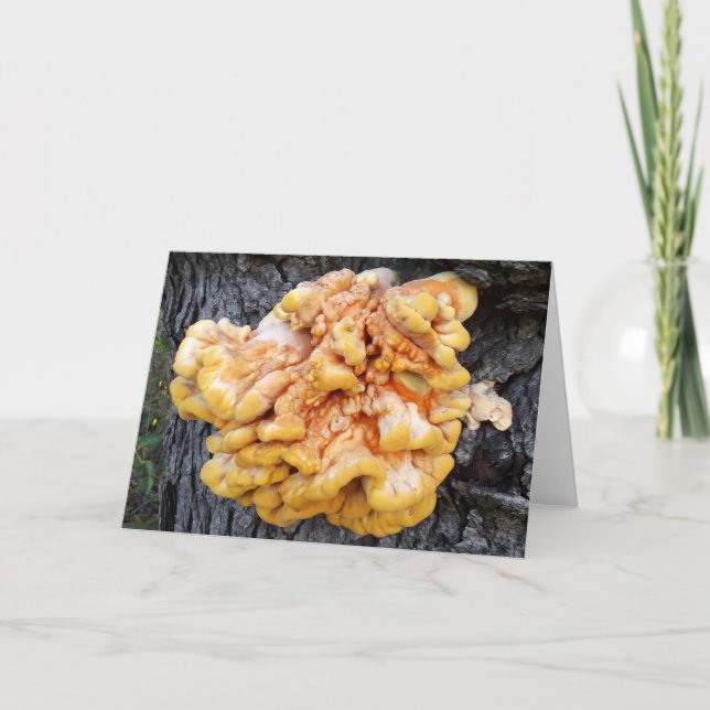 Orange Fungus Karte (Vorderseite)