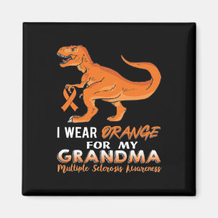 Orange für meine Oma Dinosaurier Multiple Skler tr Magnet