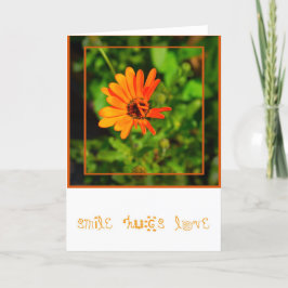 Orange Gänseblümchen-KARTE Karte
