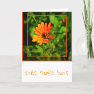 Orange Gänseblümchen-KARTE Karte
