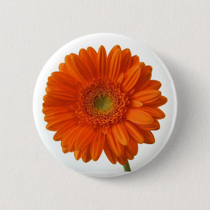 Orange Gänseblümchen-Knopf Button