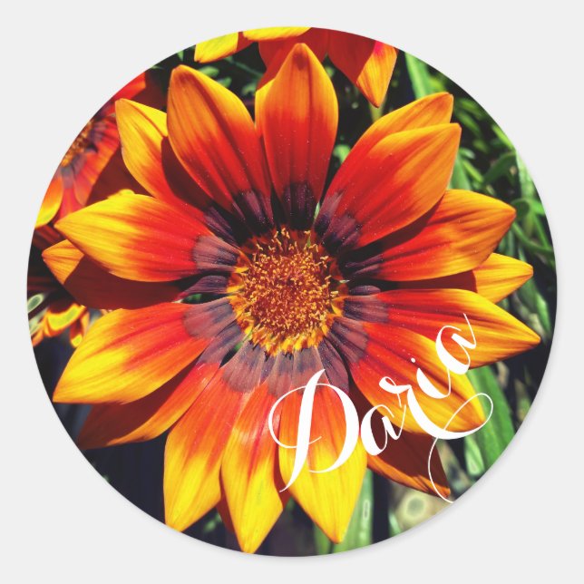 Orange Gazania-Nameaufkleber Runder Aufkleber (Vorderseite)