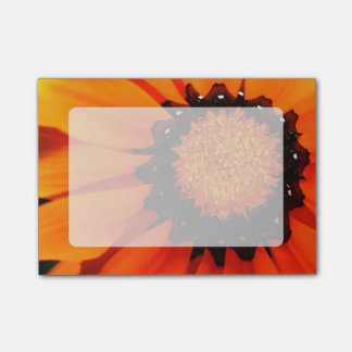 Orange Gazania Post-it Klebezettel