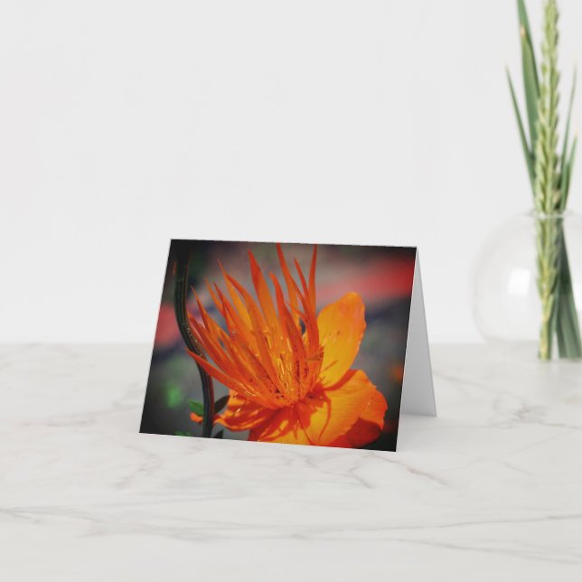 Orange-Gelbe Blume Anpassbare Note Card Dankeskarte (Vorderseite)