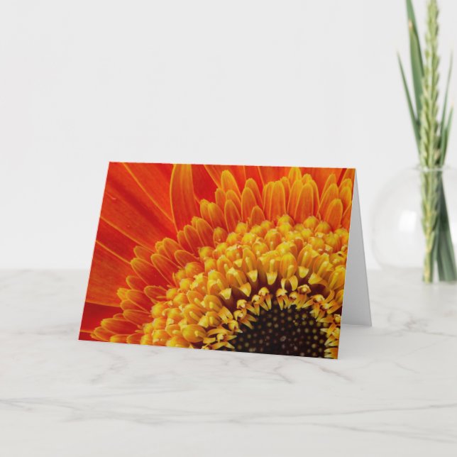 Orange-Gelbe Blume Geburtstagskarte Karte (Vorderseite)