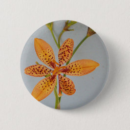 Orange gepunktet Iris genannt eine BlackBerry-Lili Button